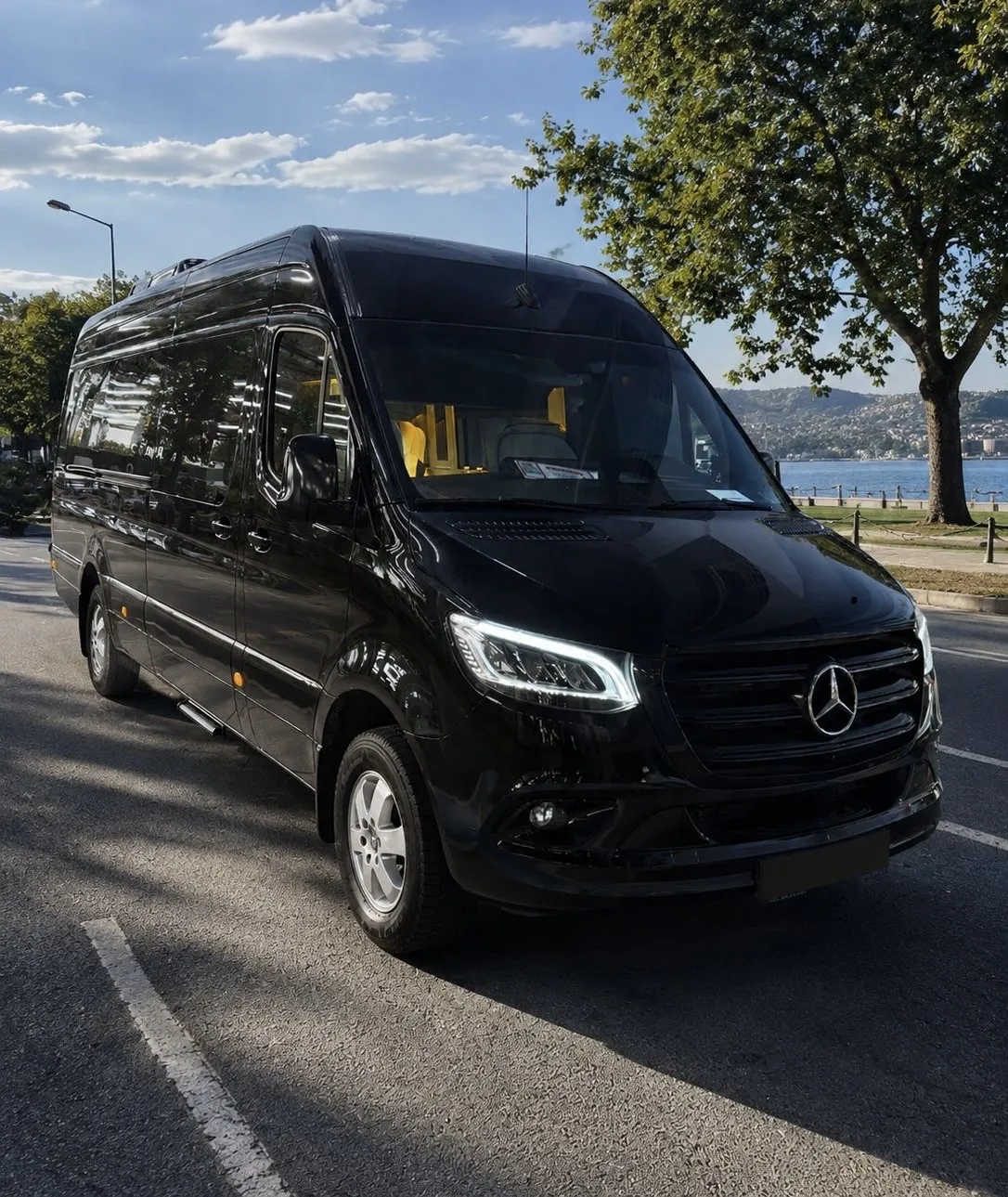 Mercedes Sprinter VIP Limousine 8+1 1