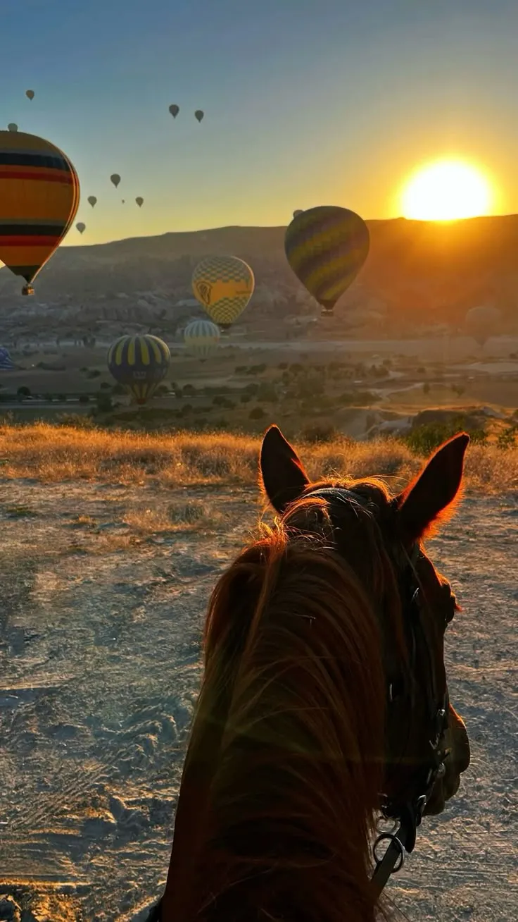 Kapadokya Turu 1 gece Konaklama 3