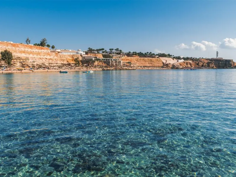 Sharm Kahire ve İskenderiye Masalı (Şehir Turları ve Khan El Khalil Çarşısı Turu Dahil) 6