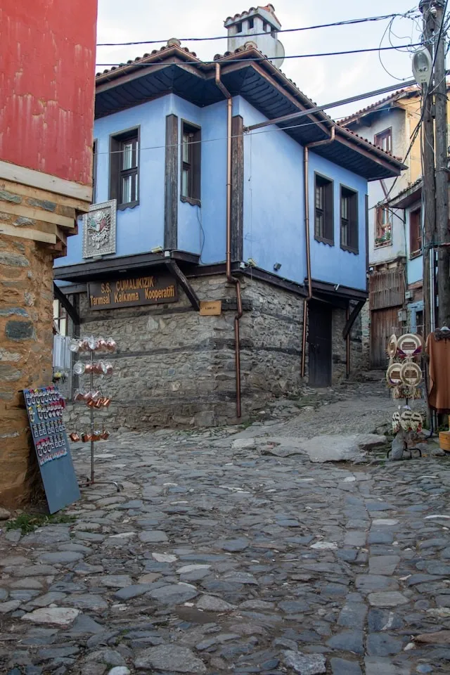 YILBAŞI ÖZEL Cumalıkızık-Mudanya-Gölyazı-Uludağ ve Eskişehir Turu 3