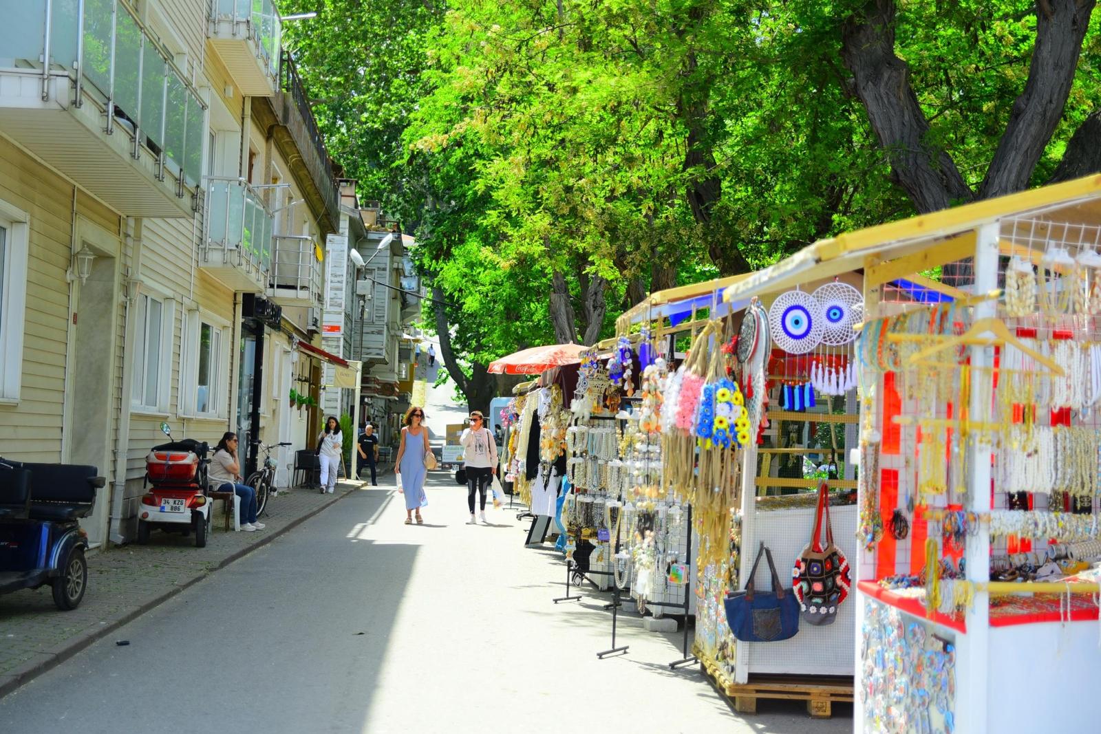 Islands Tour: Büyükada & Kınalıada 2