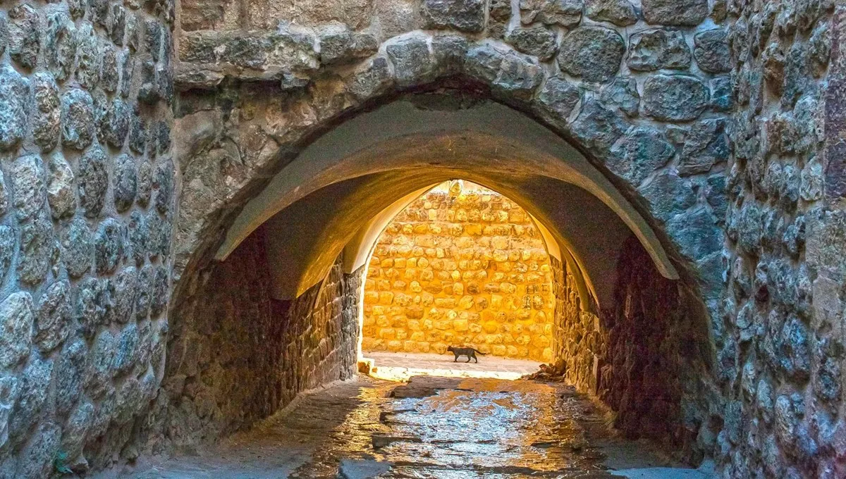 6 Günlük Uçaklı Gap Turu, İstanbul Çıkışlı – İstanbul 3