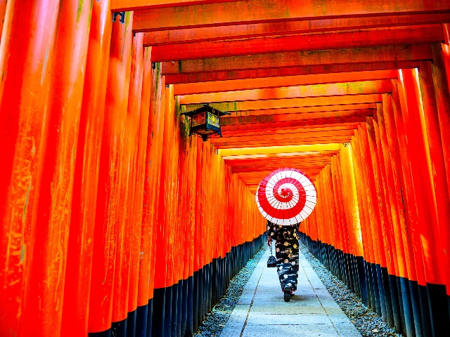 10 Günlük Japonya Kore Turu, THY ile – İstanbul 5
