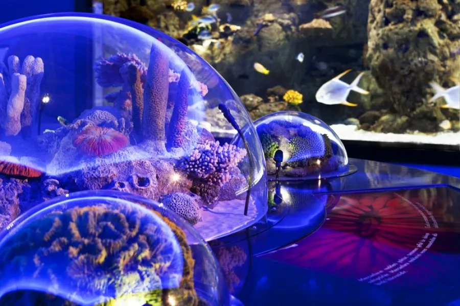 Istanbul Aquarium Ticket & Shuttle 5