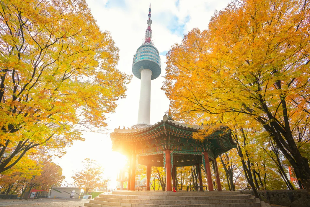 11 Günlük Japonya ve Güney Kore Turu, THY ile – İstanbul 3