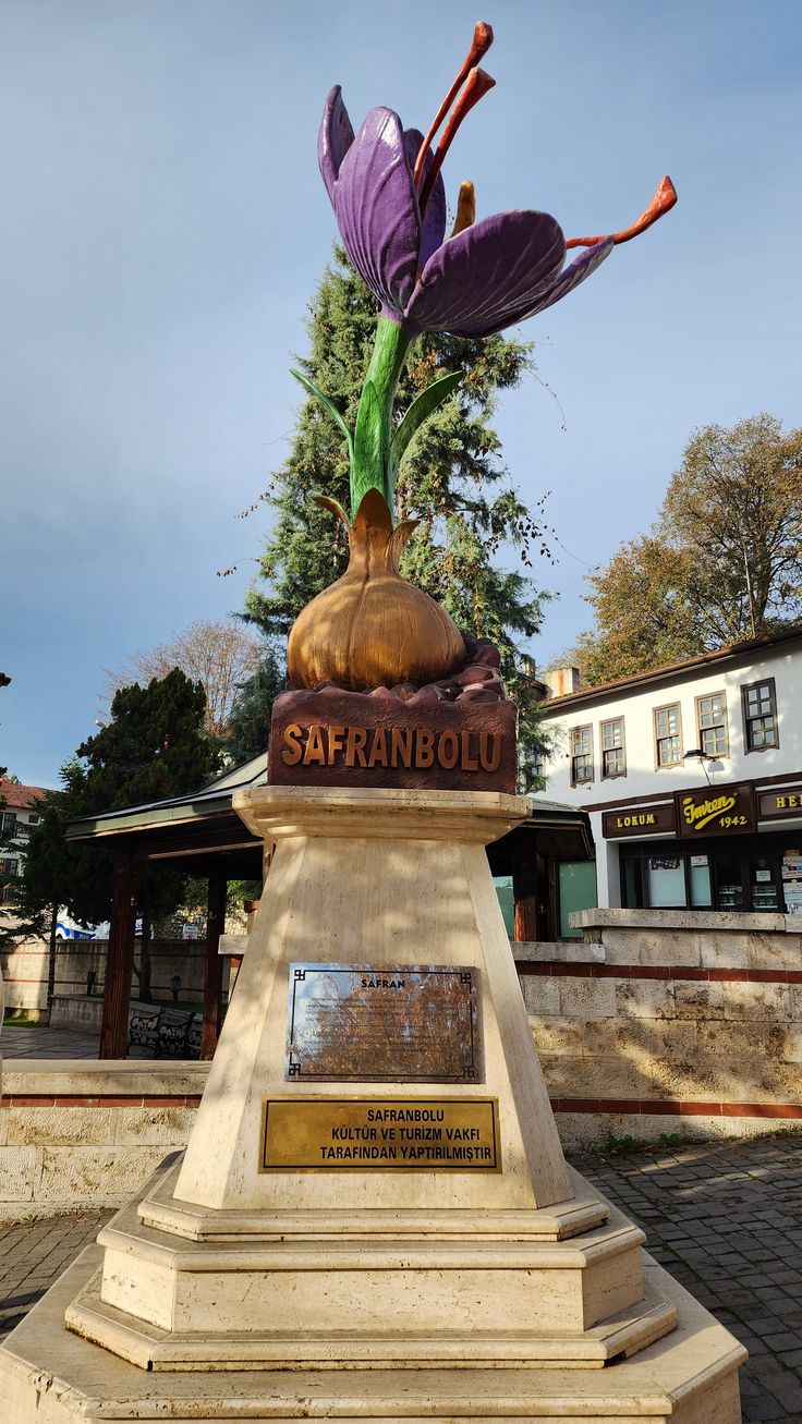 Kastamonu Kanyonlar Safranbolu Zonguldak Turu / 1 Gece Konaklamalı 4