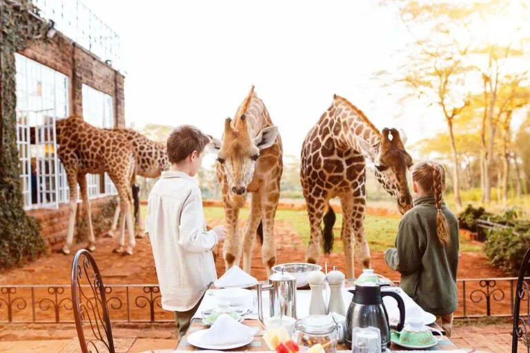 10 Günlük Kenya ve Tanzanya Safari Turu, THY ile – İstanbul 5