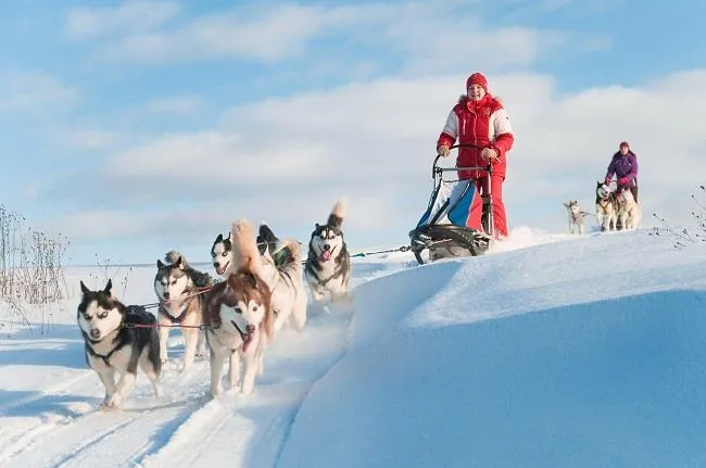 4 Günlük Lapland Turu, THY ile Rovaniemi Çıkışlı – İstanbul 4