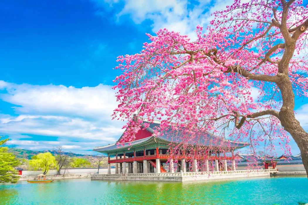 9 Günlük Japonya Turu, Osaka-Kyoto-Tokyo – İstanbul 1