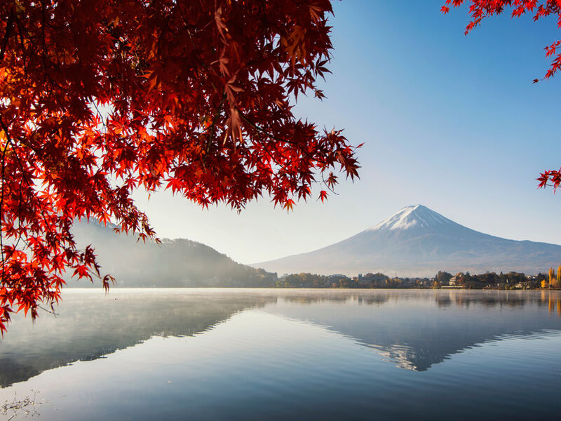 Comfort Japonya Turu Türk Hava Yolları ile 6 gece Ekstra Turlar Dahil ve Çay Seremonisi Dahil NRT-KIX 2026 4