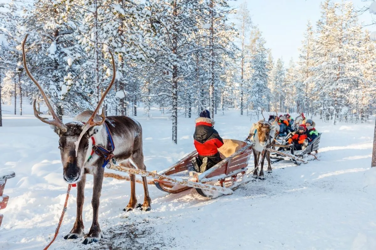 5 Günlük Lapland Turu, SunExpress ile – Izmir 3