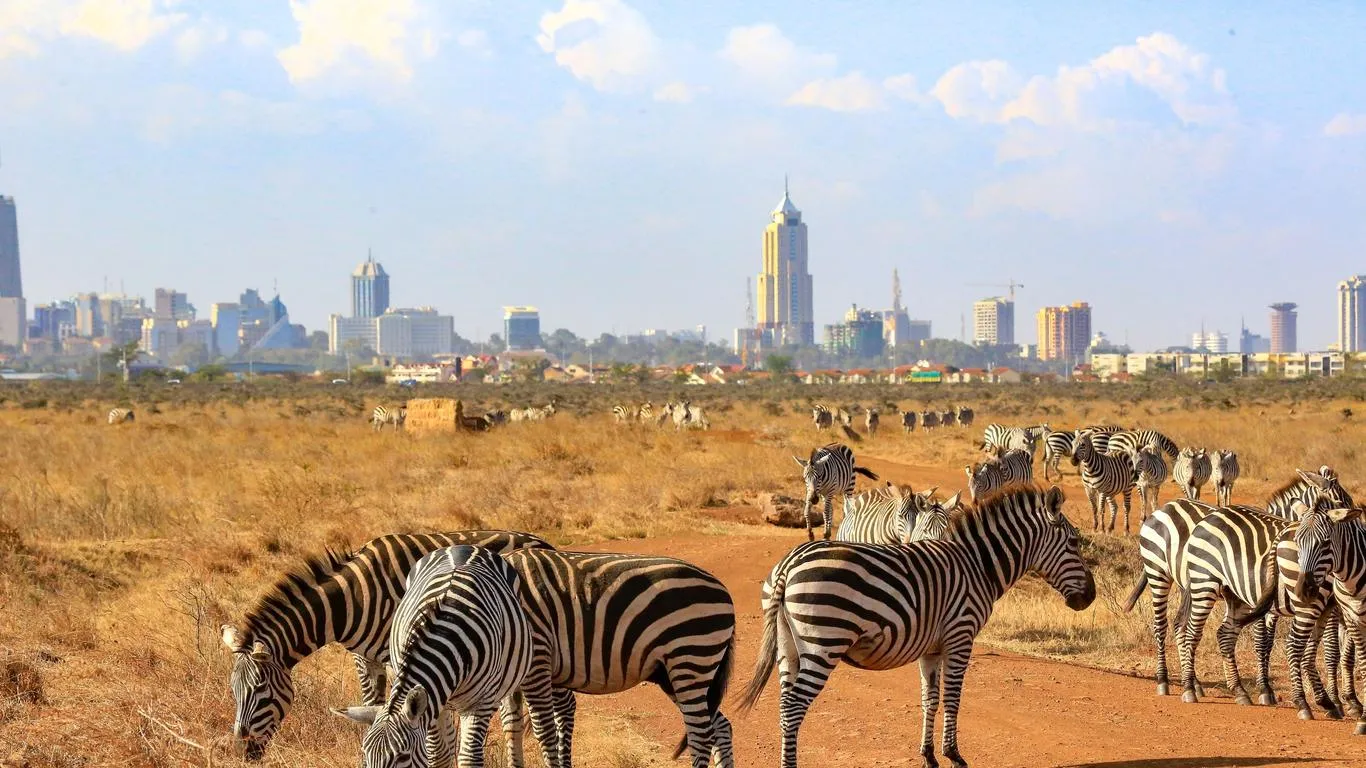 7 Günlük Kenya Büyük Göç Safari Turu, THY ile – İstanbul 4
