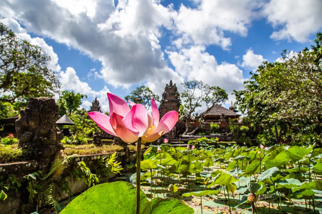 8 Günlük Bali Ubud Turu, THY ile Vizesiz – İstanbul 1