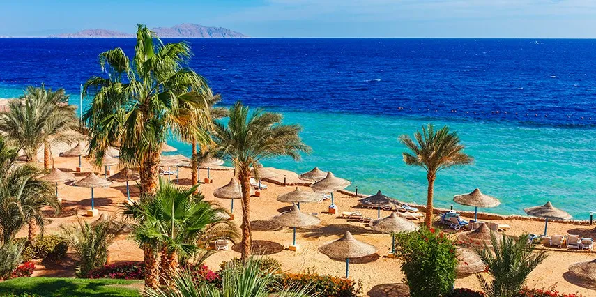 5 Günlük Sharm El Sheikh Turu, Türk Hava Yolları ile – İstanbul 1