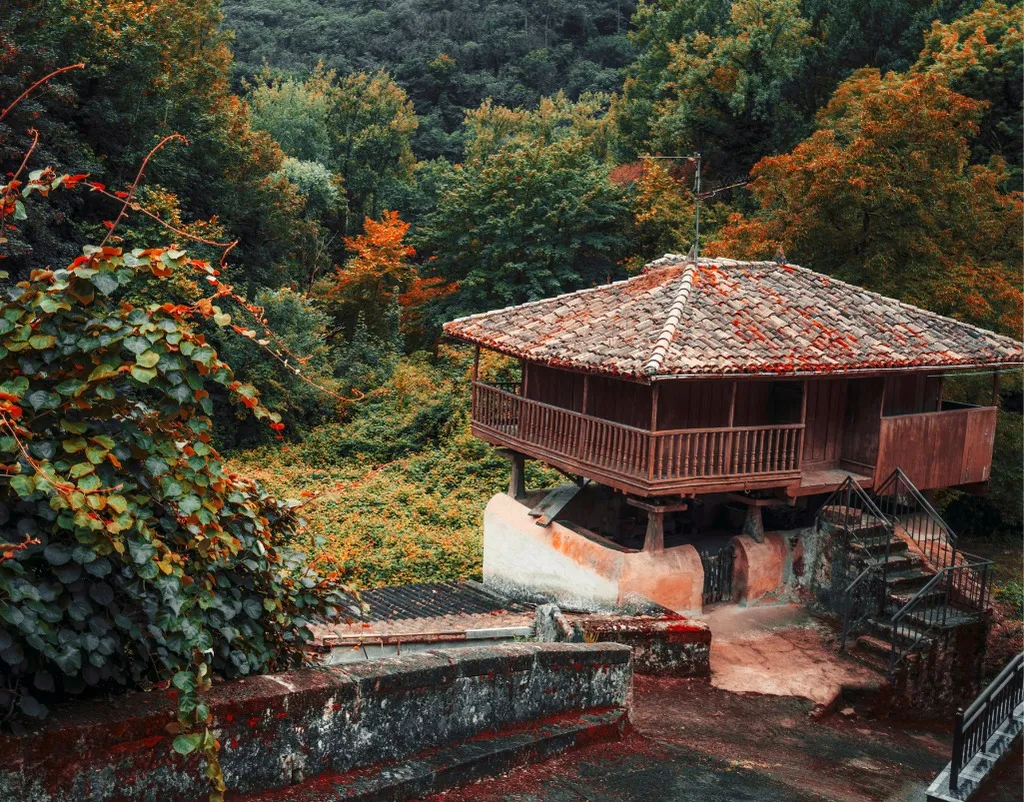 Black Sea Highlands and Batum Tour 5