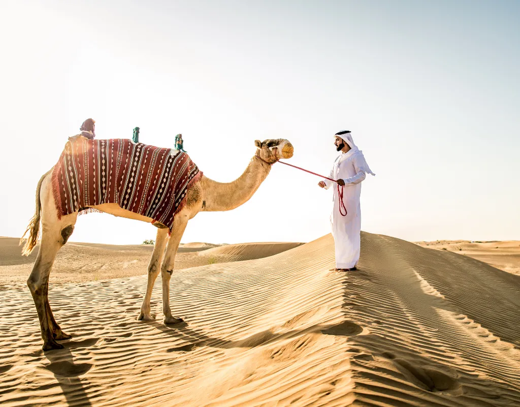 Dubai Turu Pegasus Havayolları ile 3