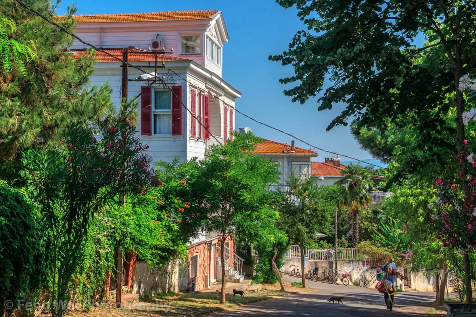 Islands Tour: Büyükada & Kınalıada 6
