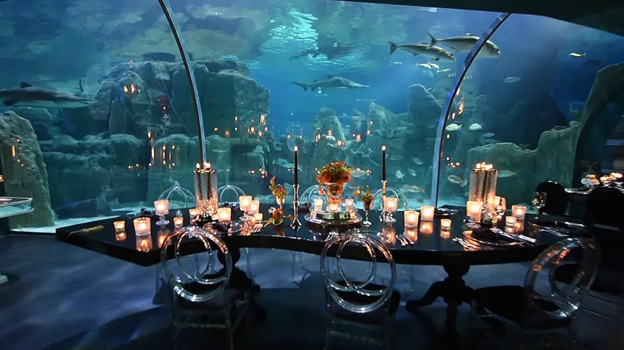 Istanbul Aquarium Ticket & Shuttle 2