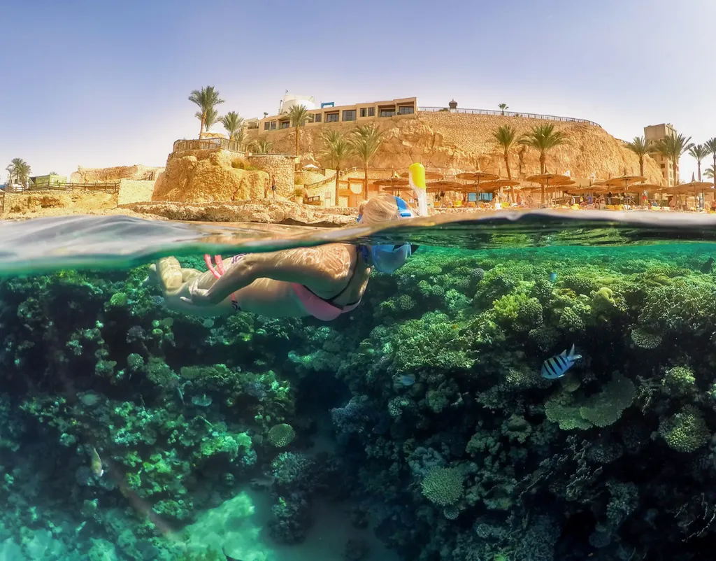 Her Şey Dahil Sharm El Sheikh Turu 3