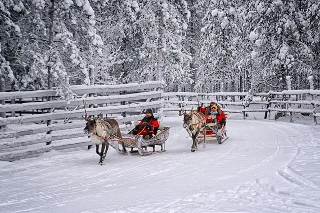 4 Günlük Lapland Kuzey Işıkları Turu, Pegasus ile – İstanbul 5