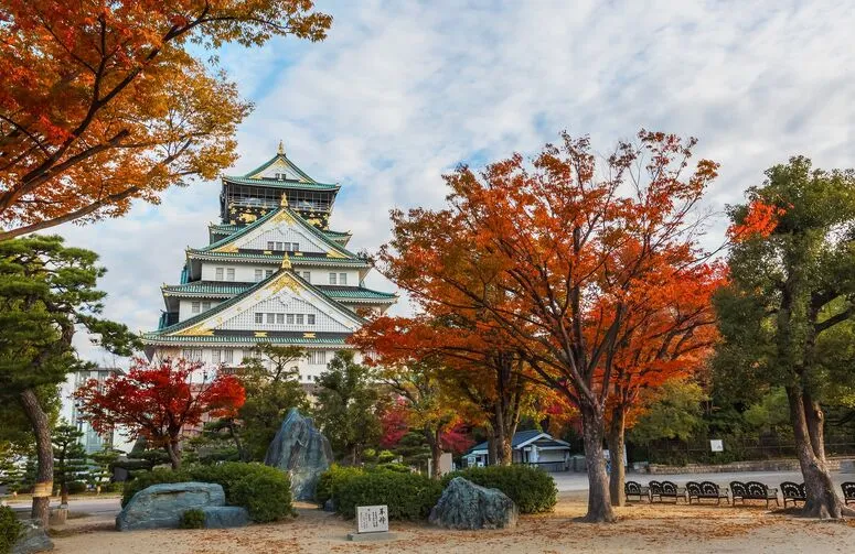 Noel Zamanı Japonya Turu, 10 Gün, THY ile – İstanbul 5