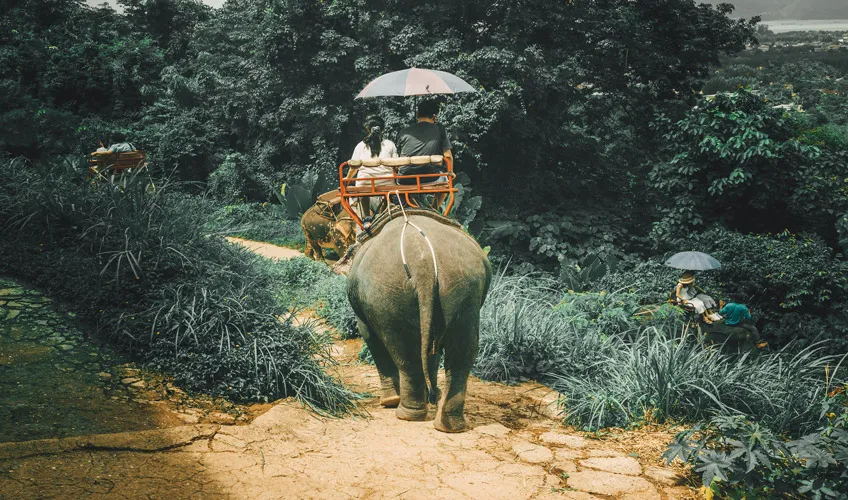 10 Günlük Uzak Doğu Turu, Singapur Hava Yolları ile – İstanbul 3