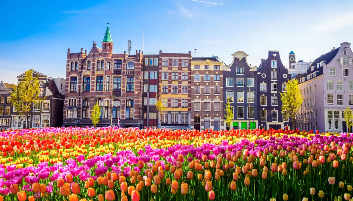 7 Günlük Benelüks Paris Köln Colmar Turu, Adana Çıkışlı – Adana 3