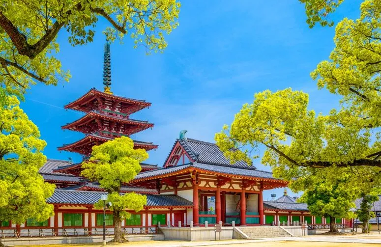 Noel Zamanı Japonya Turu, 10 Gün, THY ile – İstanbul 4