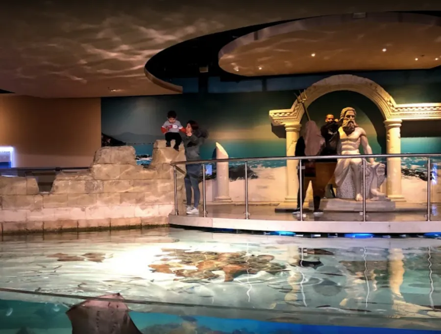 Istanbul Aquarium Ticket & Shuttle 6