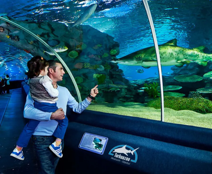 Istanbul Aquarium Ticket & Shuttle 3