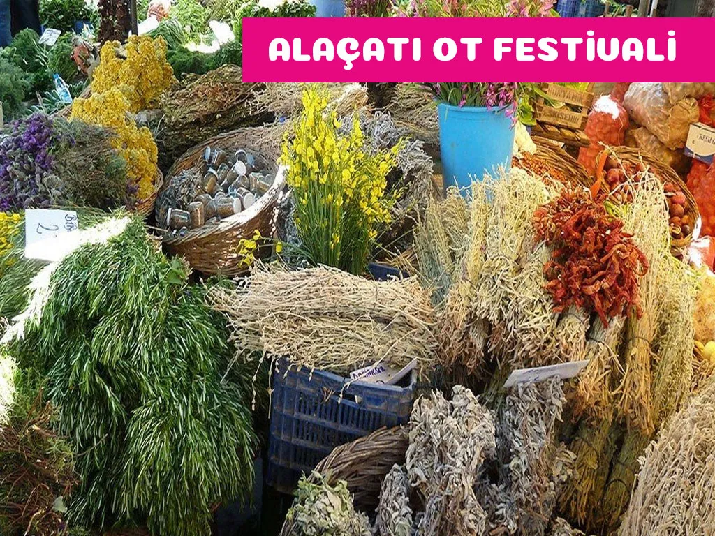 4 Günlük Alaçatı Ot Festivali Turu – İstanbul 6
