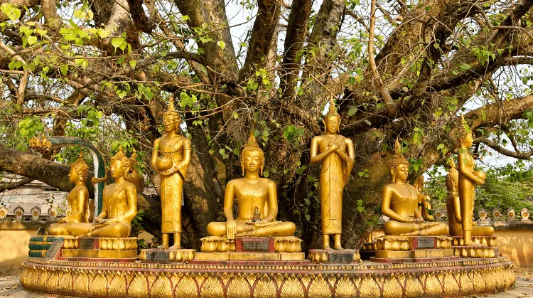 Vietnam Laos Kamboçya Tayland Turu, 12 Gün – İstanbul 4