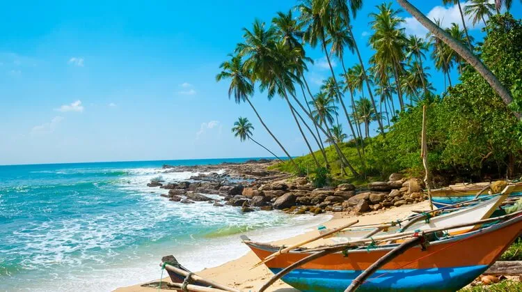 8 Günlük Sri Lanka Turu, THY ile Uçaklı – İstanbul 6