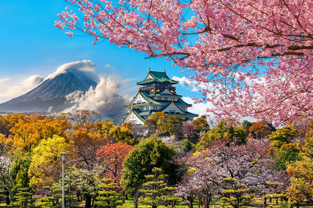 8 Günlük Japonya Turu, Türk Hava Yolları ile – İstanbul 3